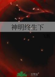 望月之城是哪部电视剧上的主题曲