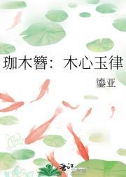 望月之夜是什么意思