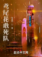 星际女武神讲的什么