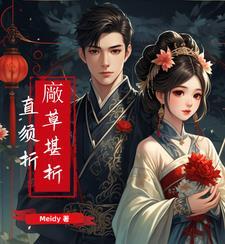 夺梦电视剧为什么没有看不了