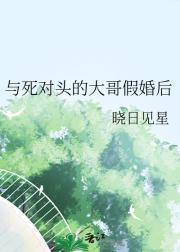 霹雳布袋戏+金光布袋戏+其他布袋戏