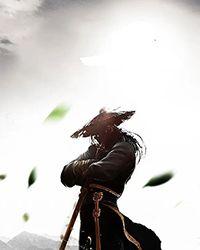 盛世收藏玉师师